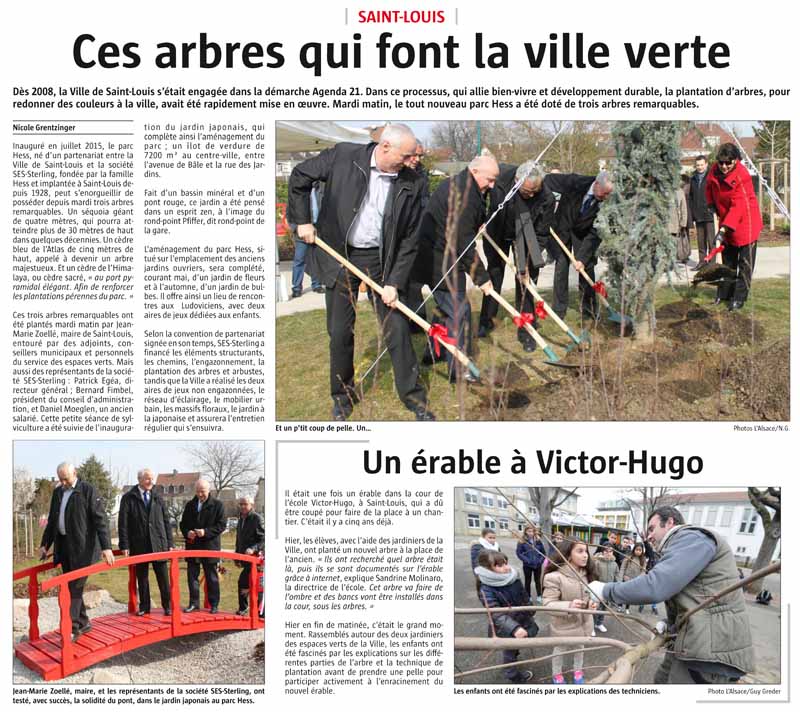 Plantation des arbres au parc HESS (mars 2016)